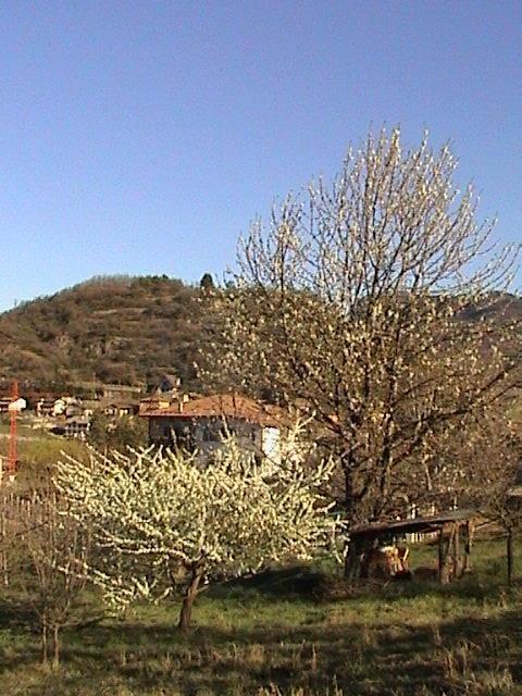 B&B La Pinara Trente Buitenkant foto