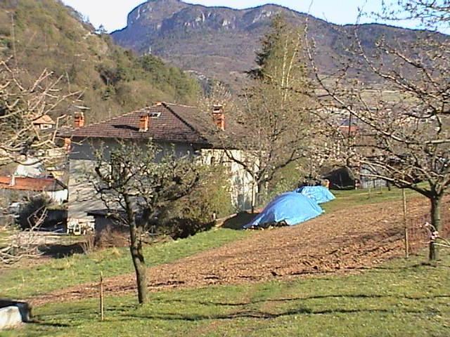B&B La Pinara Trente Buitenkant foto