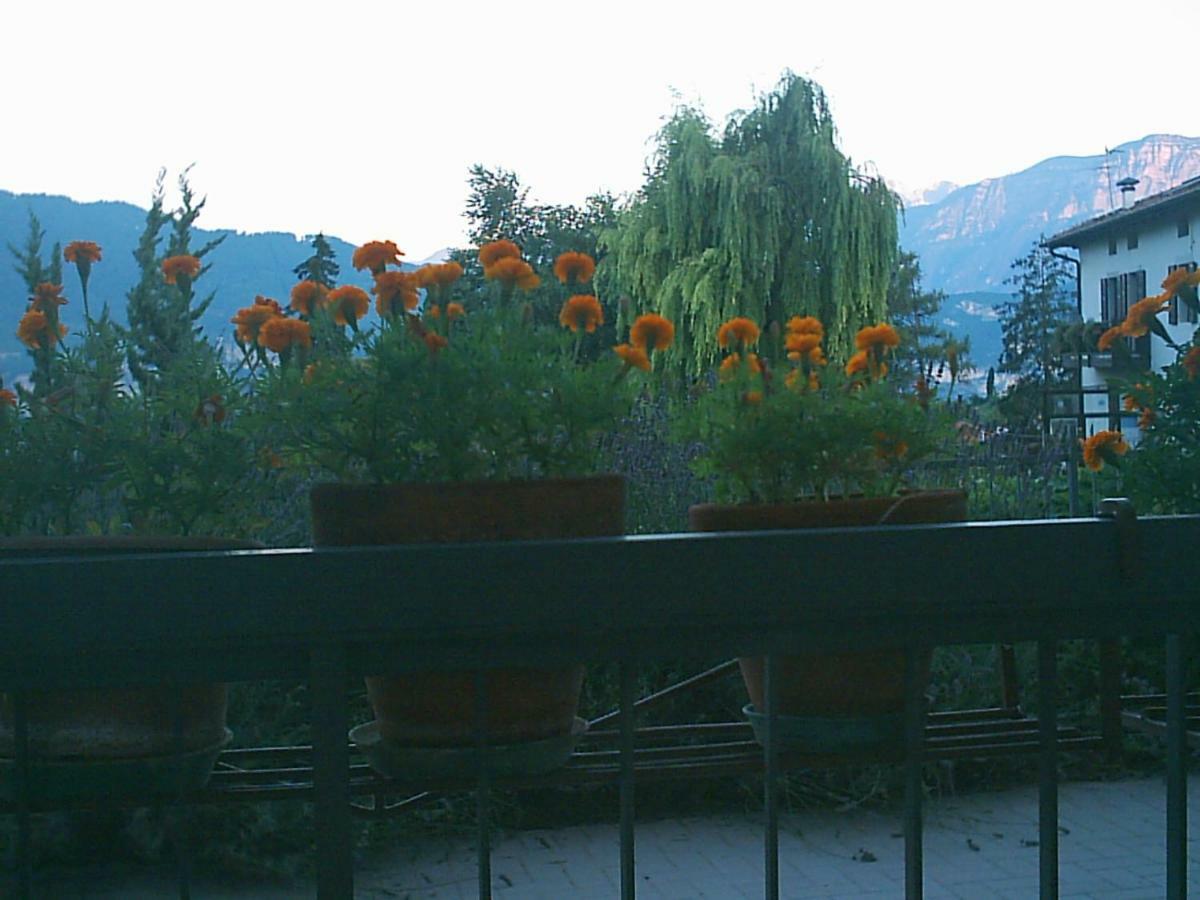 B&B La Pinara Trente Buitenkant foto